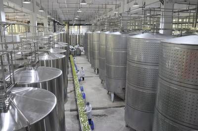 日处理300吨鲜梅、生产6款青梅酒,陆河青梅产业园正式投入使用